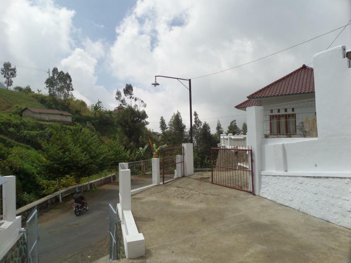 Savana Guesthouse Bromo Buitenkant foto